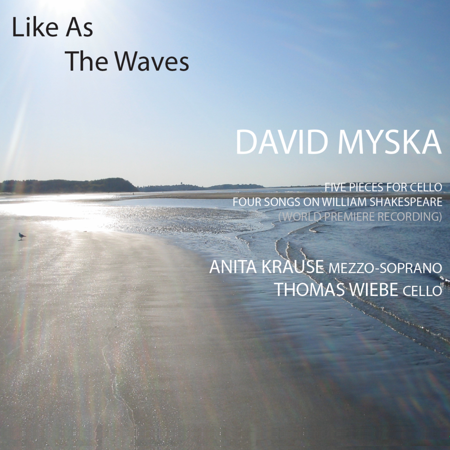 Like As the Waves album cover